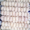 Chinese normal garlic for sale white fresh garlic price shandong garlic for sale